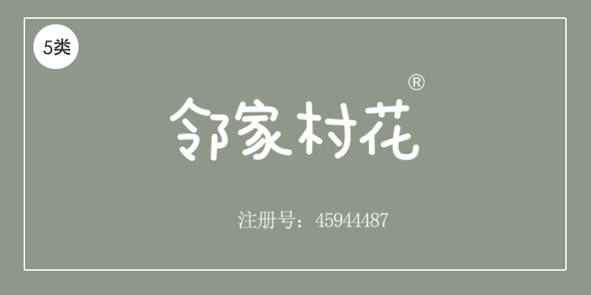 05类药品制剂