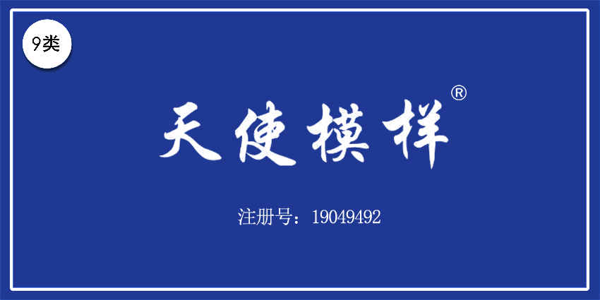 09类电子电器