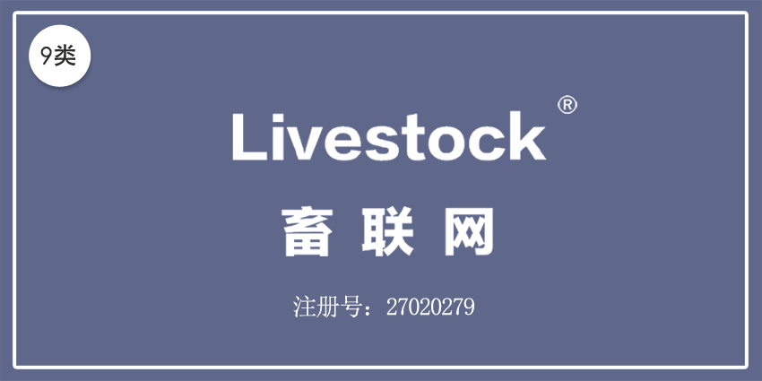09类电子电器