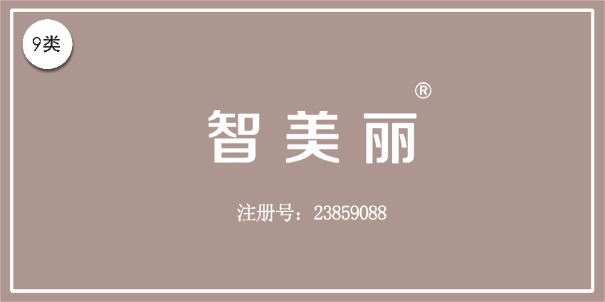 09类电子电器