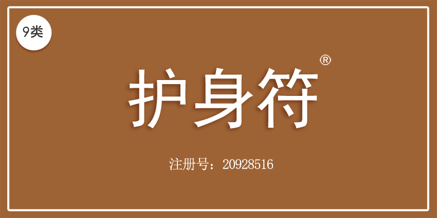 09类电子电器