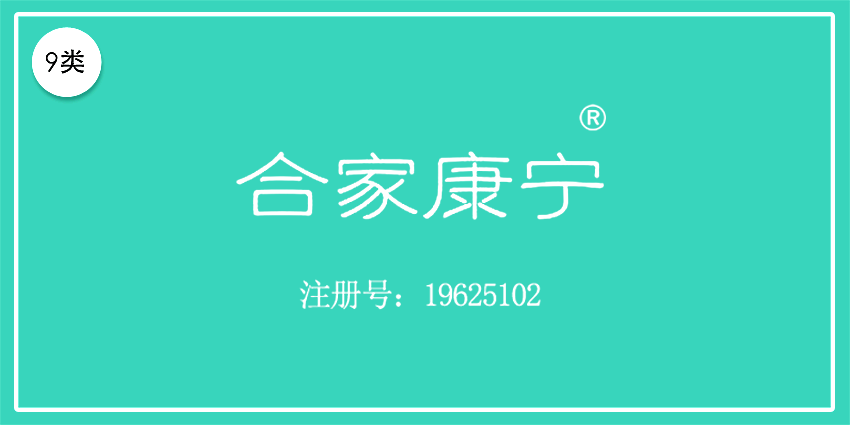 09类电子电器