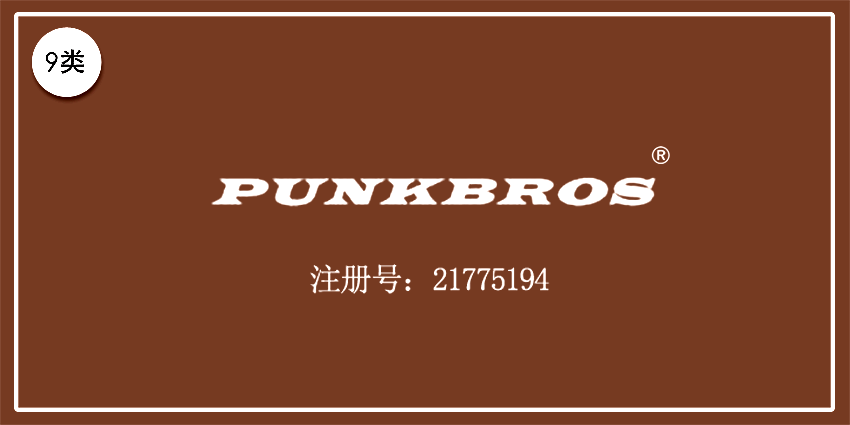 09类电子电器