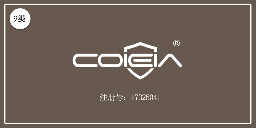 09类电子电器