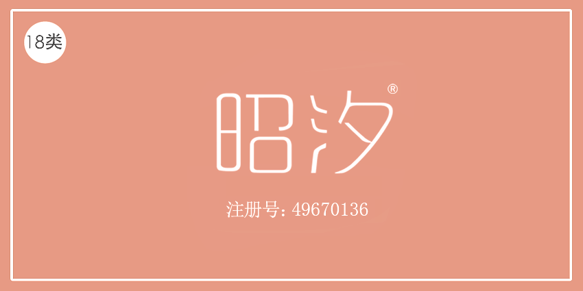 18类皮革皮具