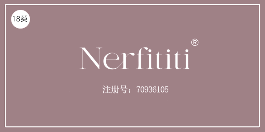 18类皮革皮具