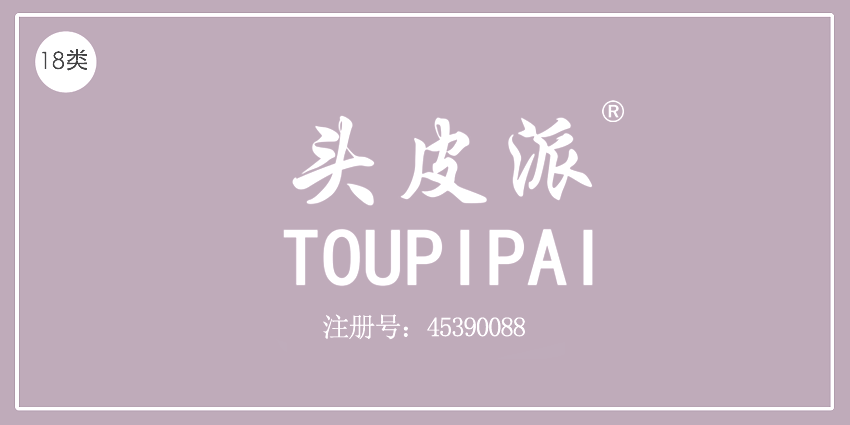 18类皮革皮具