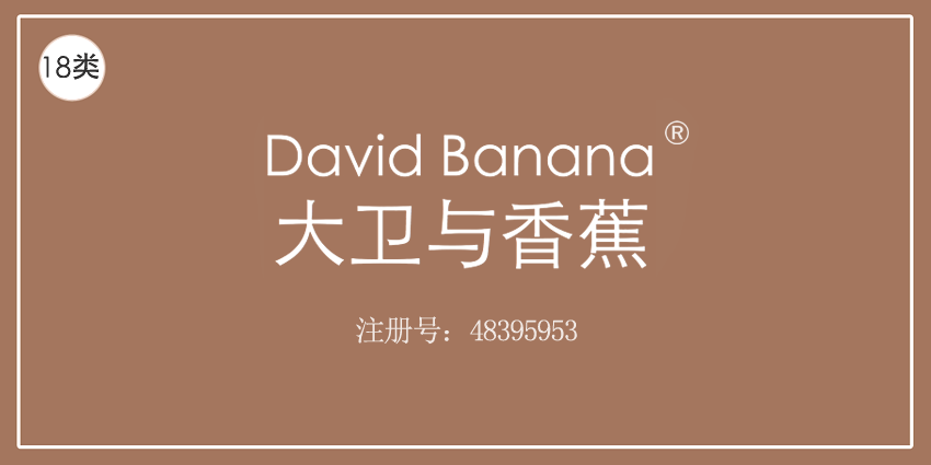 18类皮革皮具