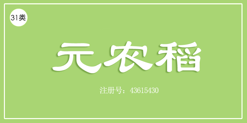 31类饲料种子