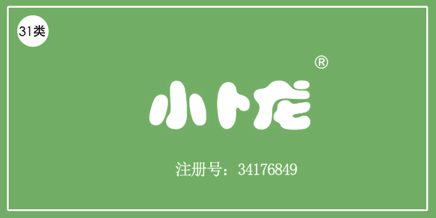 31类饲料种子