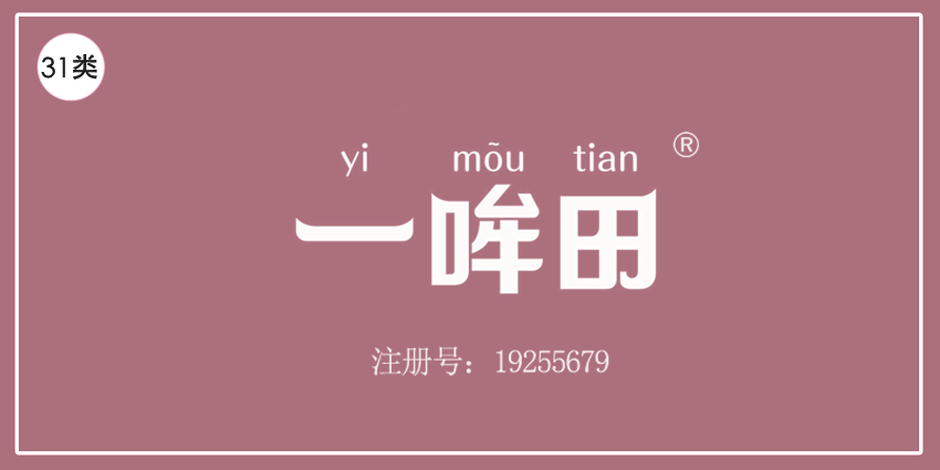 31类饲料种子