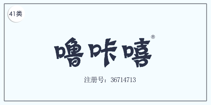 41类教育娱乐