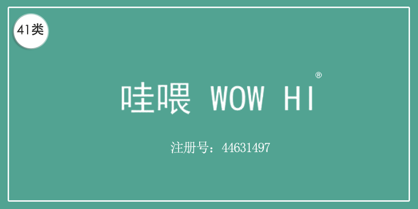 41类教育娱乐